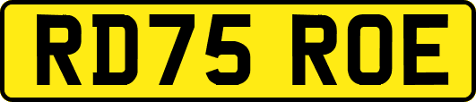 RD75ROE