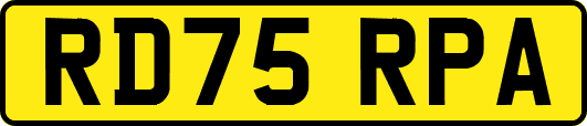 RD75RPA