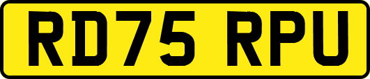 RD75RPU