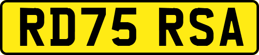 RD75RSA