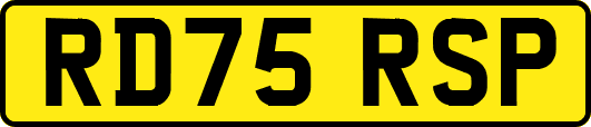 RD75RSP