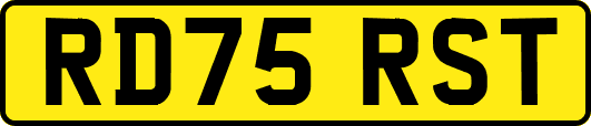 RD75RST