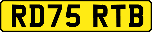 RD75RTB