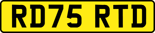 RD75RTD
