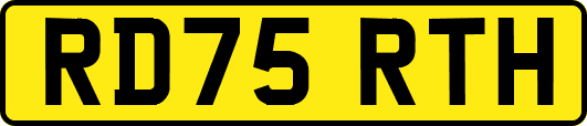 RD75RTH