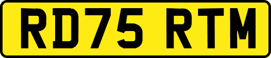 RD75RTM