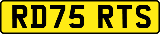 RD75RTS
