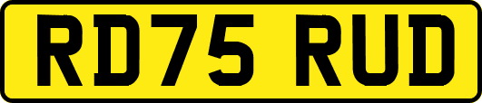 RD75RUD