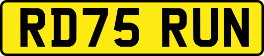 RD75RUN