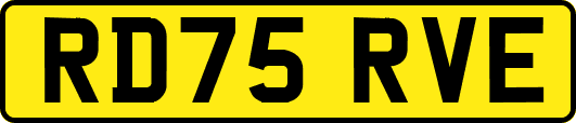 RD75RVE