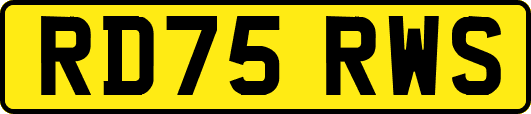 RD75RWS