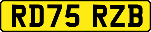 RD75RZB