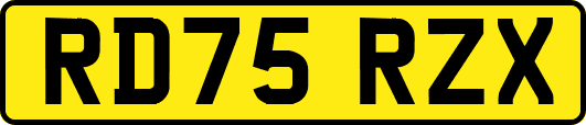 RD75RZX