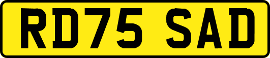 RD75SAD