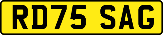 RD75SAG