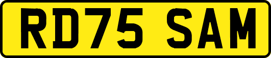 RD75SAM