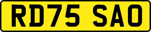 RD75SAO