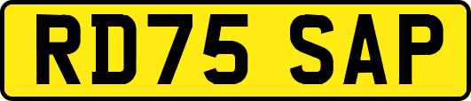 RD75SAP