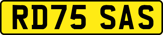 RD75SAS