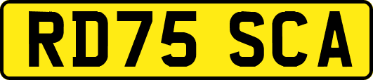 RD75SCA