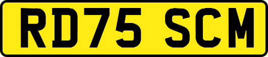 RD75SCM