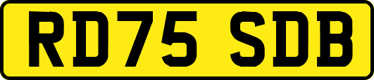 RD75SDB