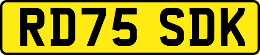 RD75SDK