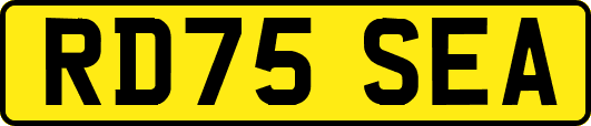 RD75SEA