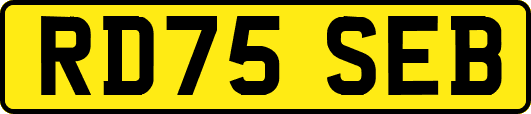 RD75SEB