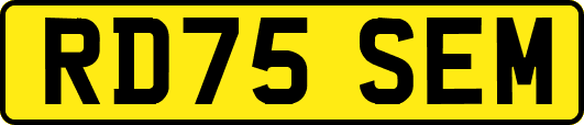 RD75SEM