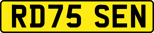 RD75SEN
