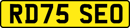 RD75SEO