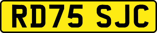 RD75SJC