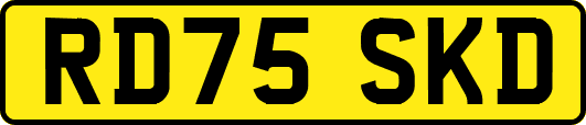 RD75SKD
