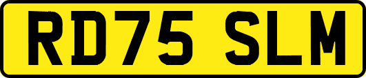 RD75SLM