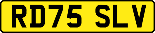 RD75SLV