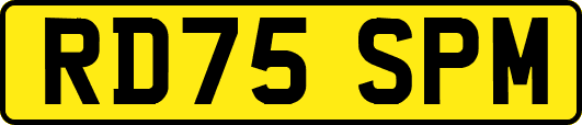 RD75SPM