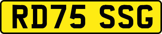 RD75SSG