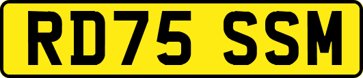 RD75SSM