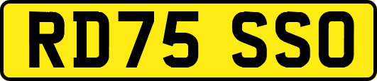 RD75SSO