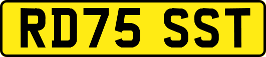 RD75SST