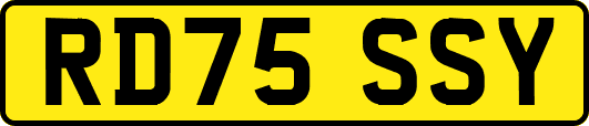 RD75SSY