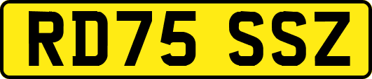 RD75SSZ