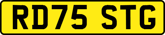 RD75STG