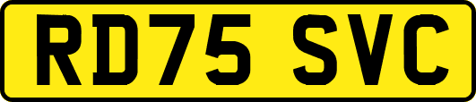 RD75SVC