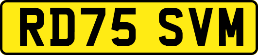 RD75SVM
