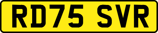 RD75SVR