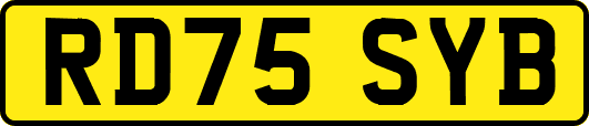 RD75SYB