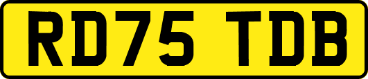 RD75TDB