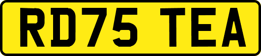 RD75TEA